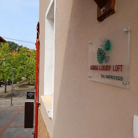 Agora Luxury Loft *